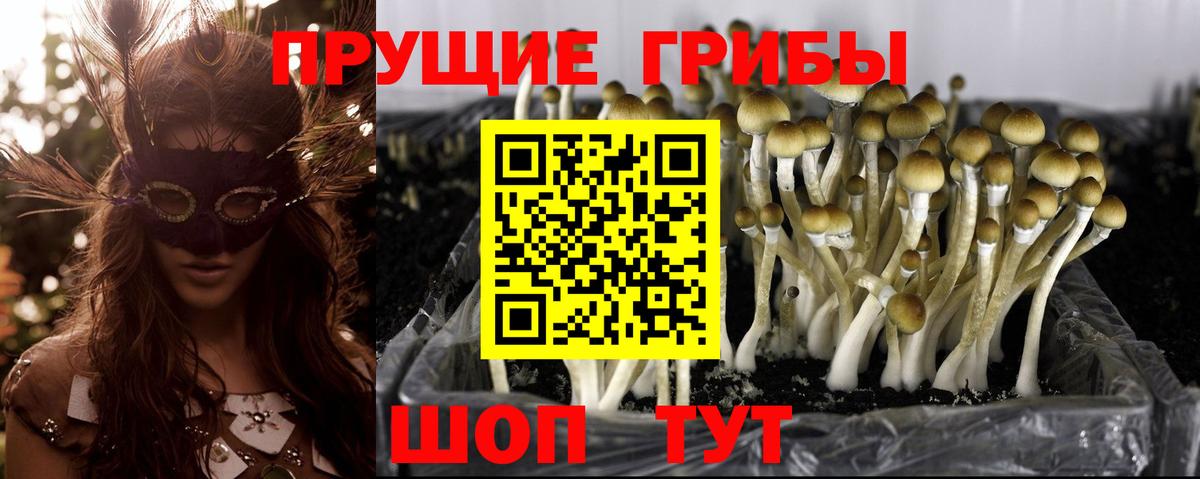 Галлюциногенные грибы прущие грибы Кимовск