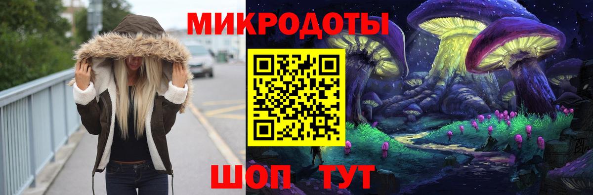 Кимовск  как найти   Псилоцибиновые грибы Psilocybe  Вход с VPN  Галлюциногенные грибы прущие грибы 